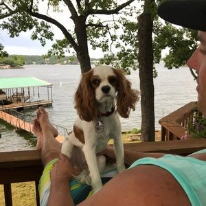 Meet your Posher, Brandon